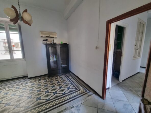 WhatsApp Image 2023-01-03 at 12.26.51 (3)